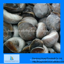 cheap frozen yummy moon snail good taste